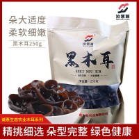 山陽縣沁慧源黑木耳500g/袋 秦嶺特級(jí)木耳